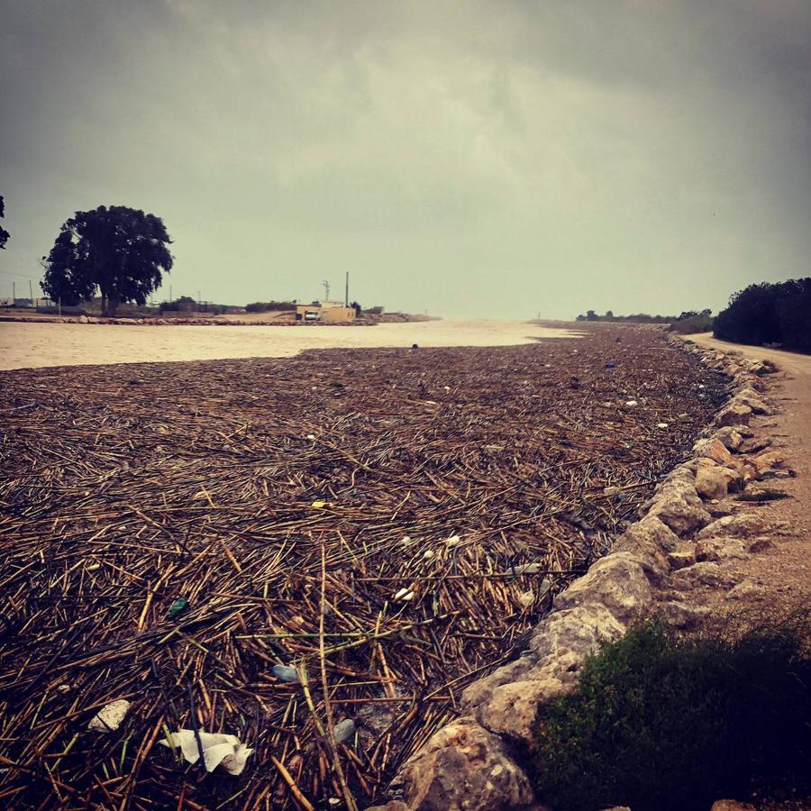 Fotos: Todas las fotografías del tercer día de la DANA en Valencia