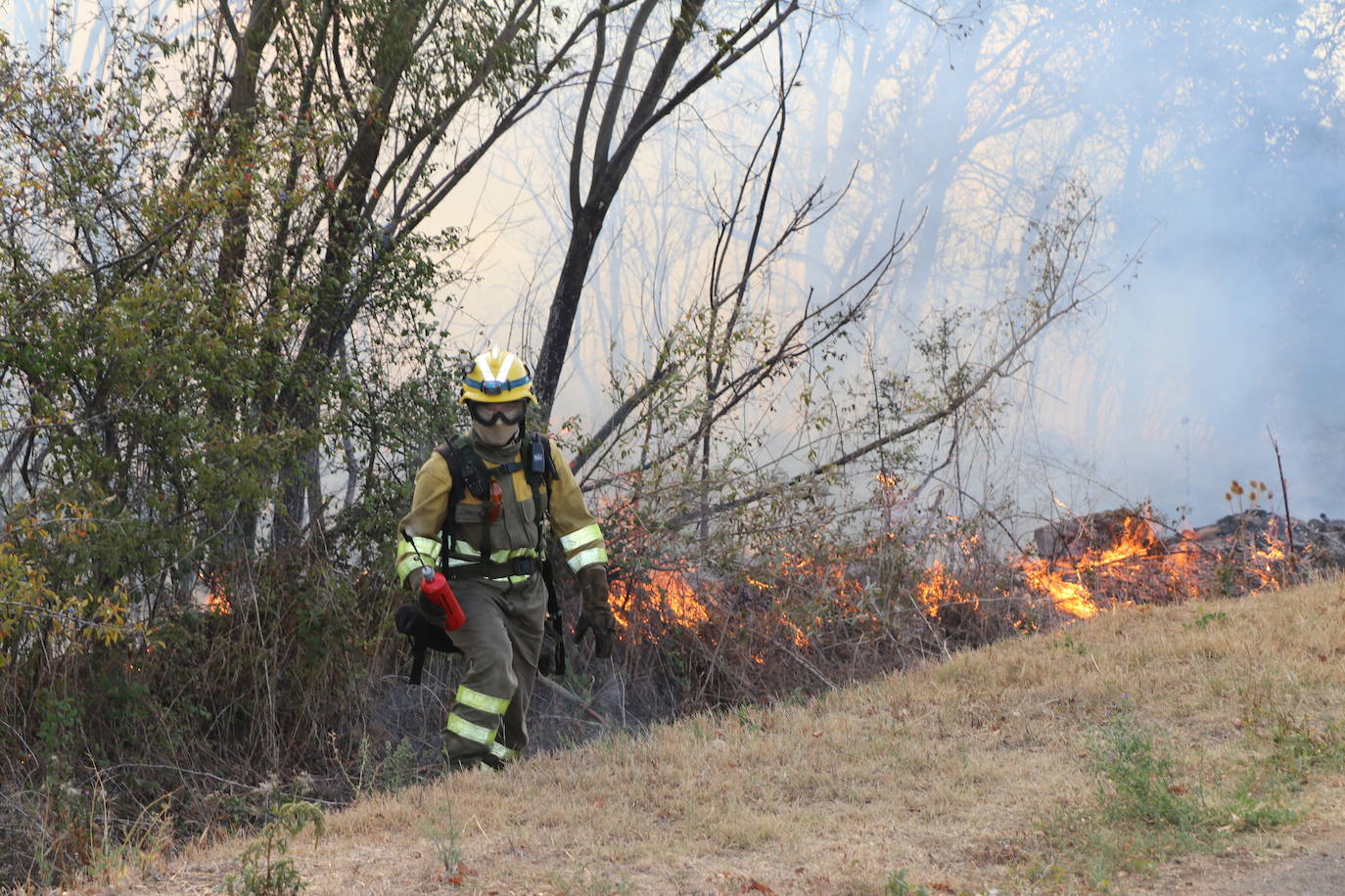 El fuego vuelve a Santa Olaja de la Ribera este viernes.