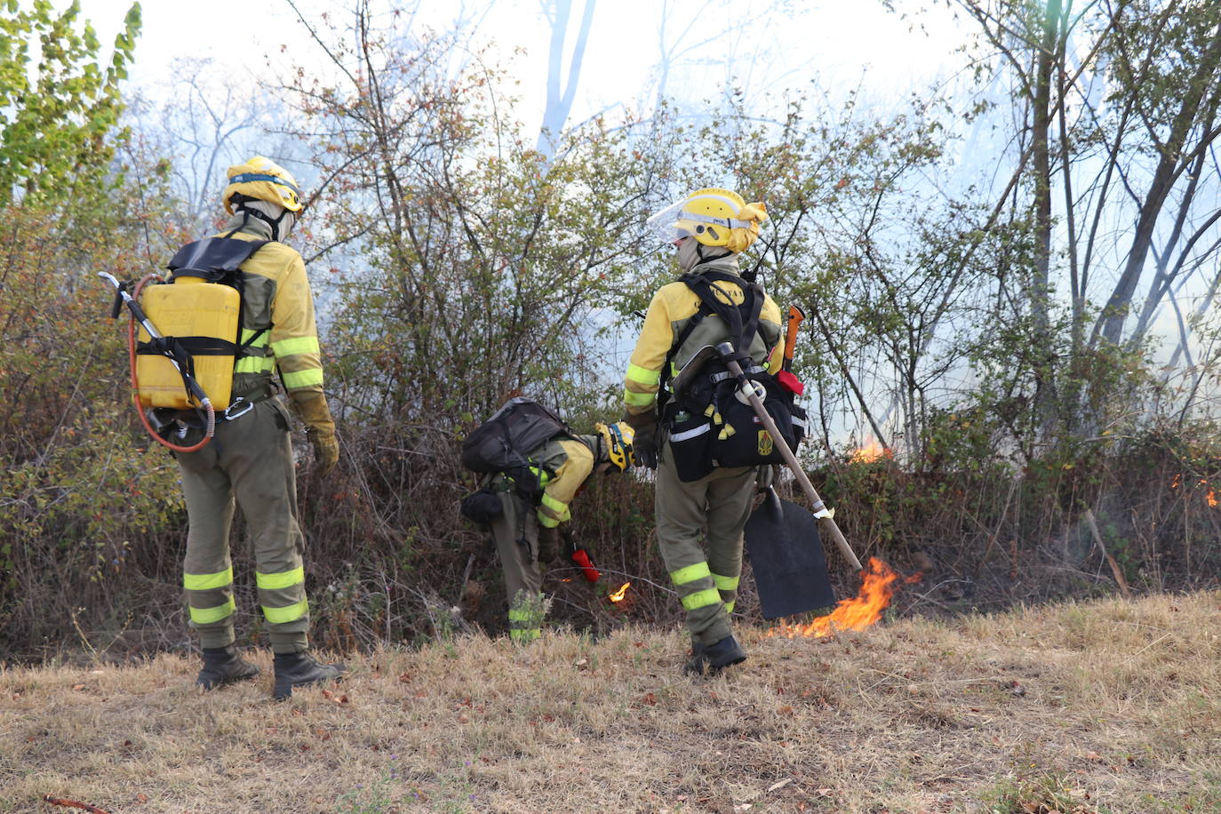 El fuego vuelve a Santa Olaja de la Ribera este viernes.