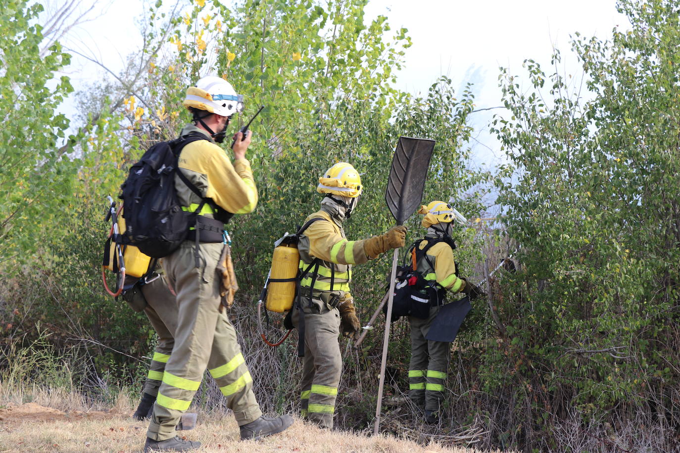 El fuego vuelve a Santa Olaja de la Ribera este viernes.