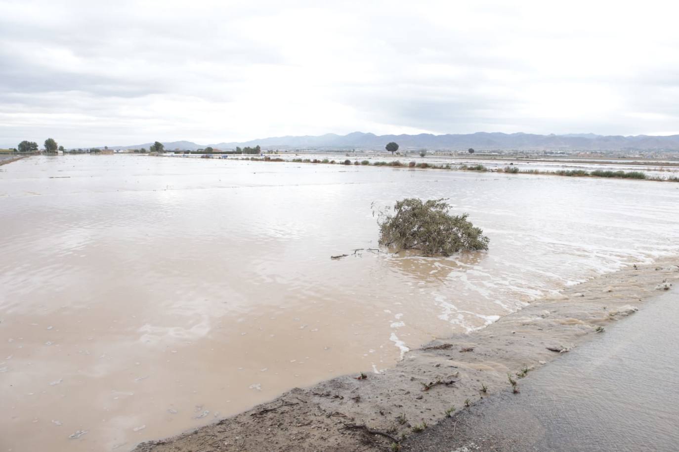 El temporal sigue sin dar tregua, se extiende a más provincias y este sábado se ha cobrado la séxta víctima mortal.