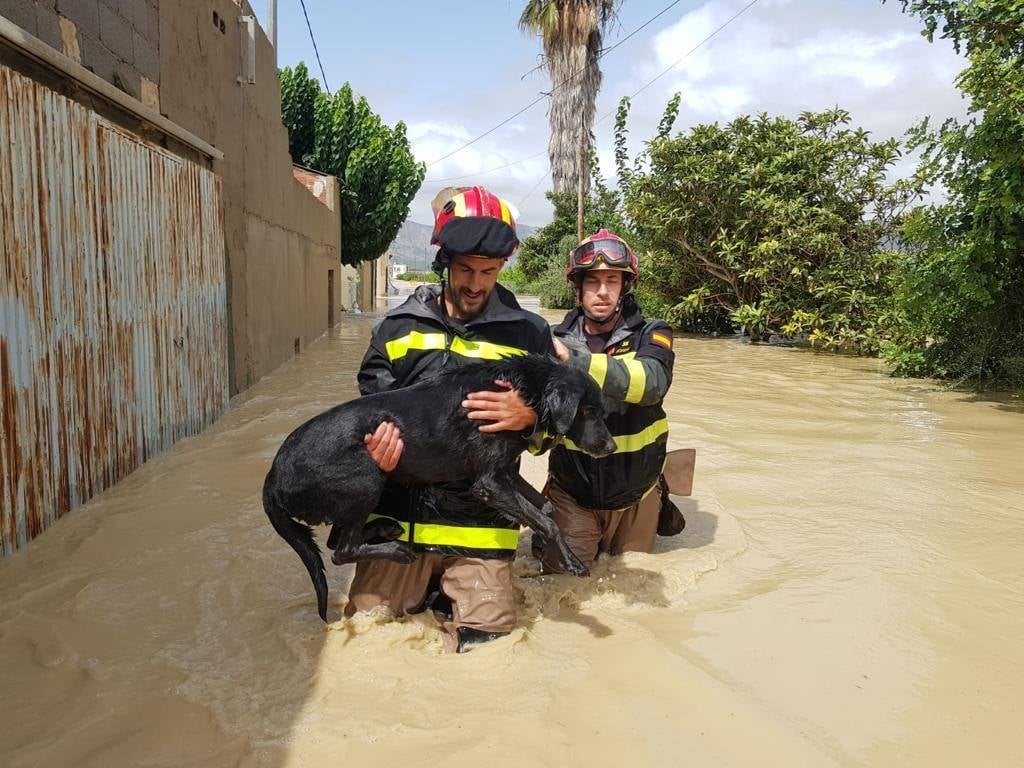 Fotos: La UME actúa para paliar los efectos de la gota fría en Orihuela (Alicante)