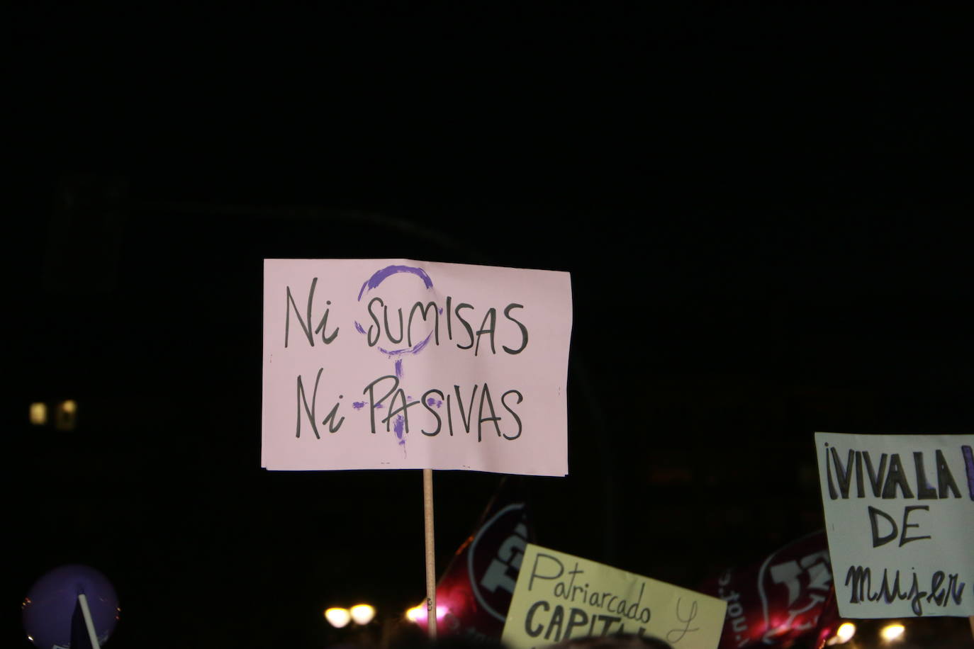 Fotos: León sale a la calle ante la Emergencia Feminista por la violencia machista