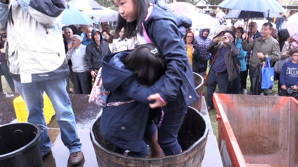 Fotos: Feria de la Vendimia de Valdeviembre