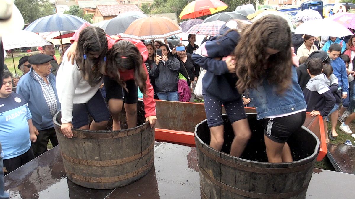 Fotos: Feria de la Vendimia de Valdeviembre