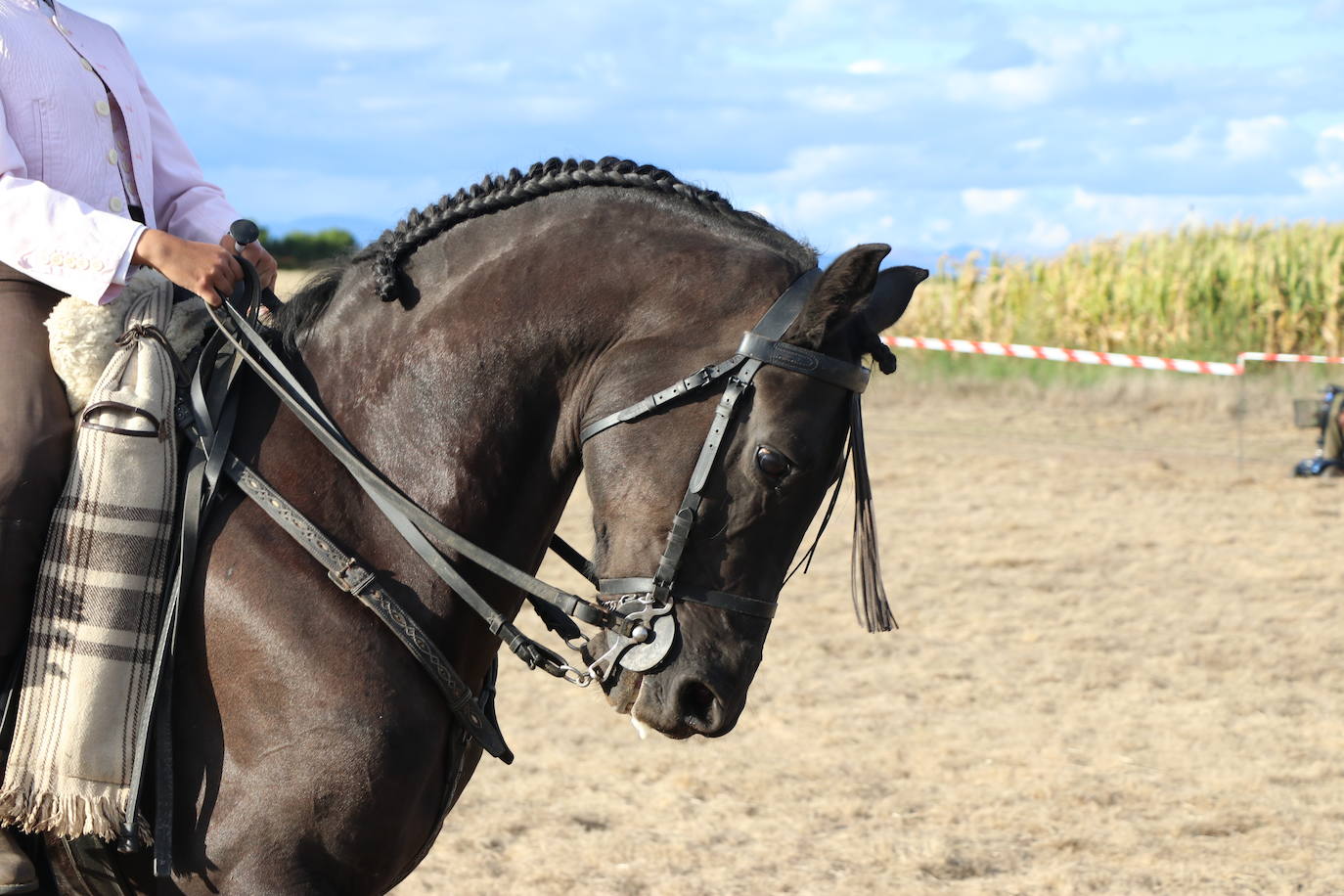 Fotos: Unión y pasión por el caballo