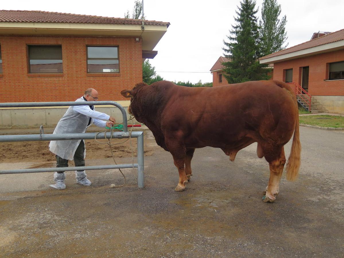 Fotos: El director general de Producción Agropecuaria visita las instalaciones del Censyra