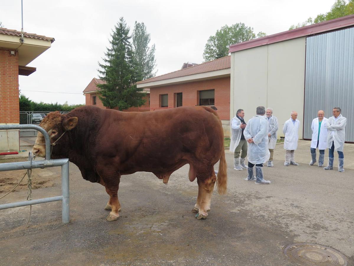 Fotos: El director general de Producción Agropecuaria visita las instalaciones del Censyra