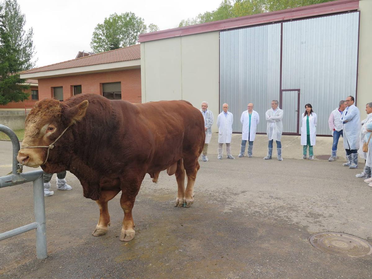 Fotos: El director general de Producción Agropecuaria visita las instalaciones del Censyra