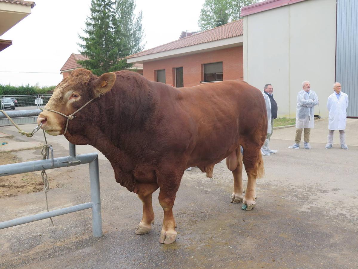 Fotos: El director general de Producción Agropecuaria visita las instalaciones del Censyra