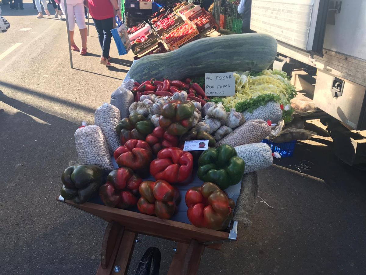 El rey de la huerta leonesa, el pimiento morrón de Fresno de la Vega.