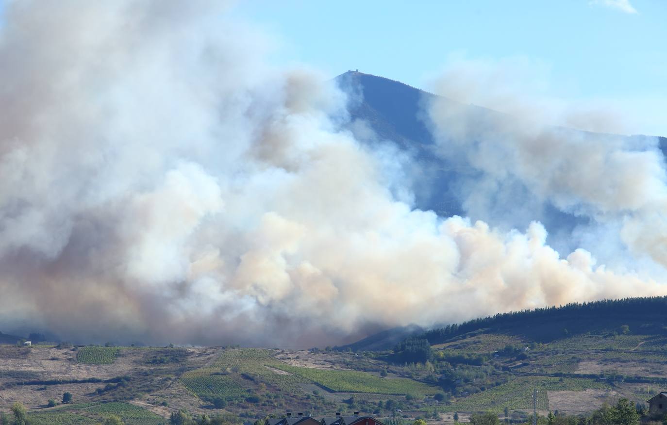 Fotos: Incendio forestal en Valdecañada