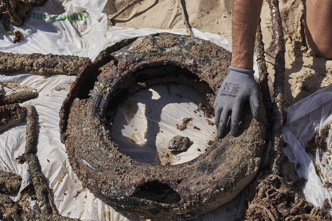 Fotos: 20 buceadores leoneses se suman a la V Gran Limpieza Internacional de Fondos Marinos
