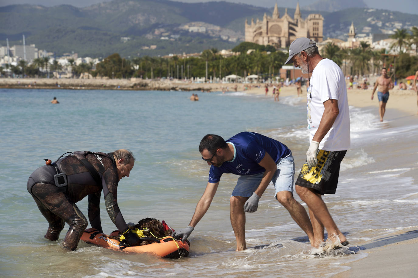 Fotos: 20 buceadores leoneses se suman a la V Gran Limpieza Internacional de Fondos Marinos