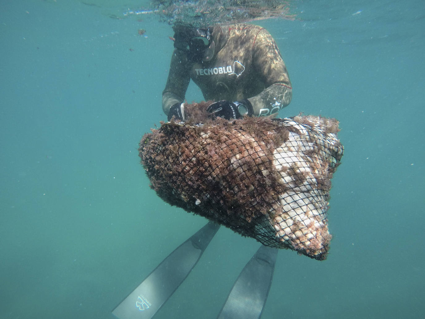 Fotos: 20 buceadores leoneses se suman a la V Gran Limpieza Internacional de Fondos Marinos