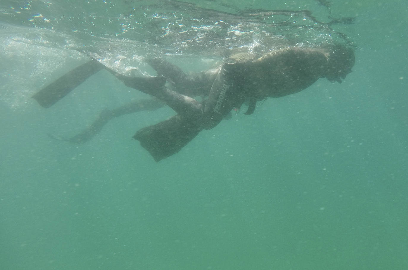 Fotos: 20 buceadores leoneses se suman a la V Gran Limpieza Internacional de Fondos Marinos