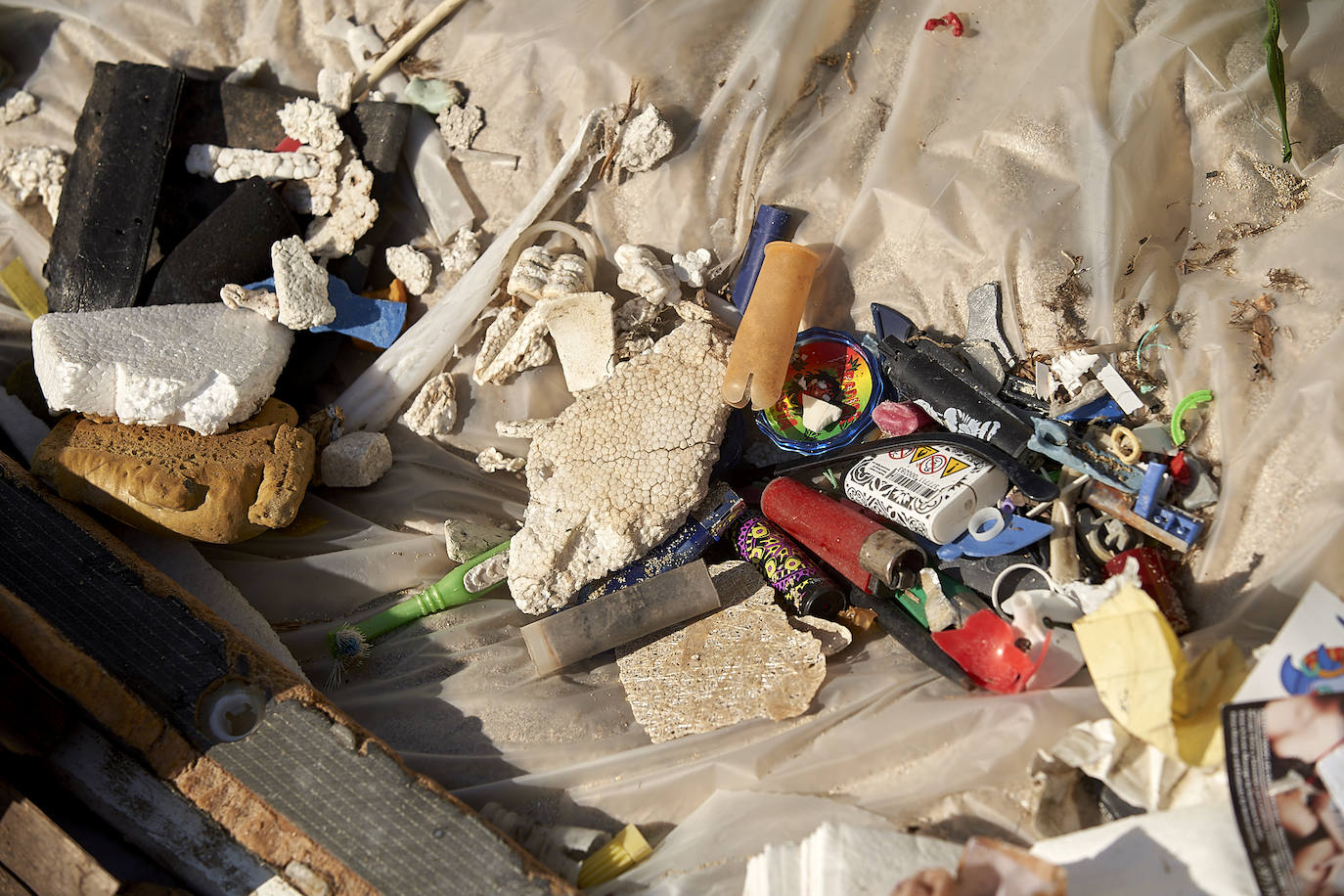Fotos: 20 buceadores leoneses se suman a la V Gran Limpieza Internacional de Fondos Marinos