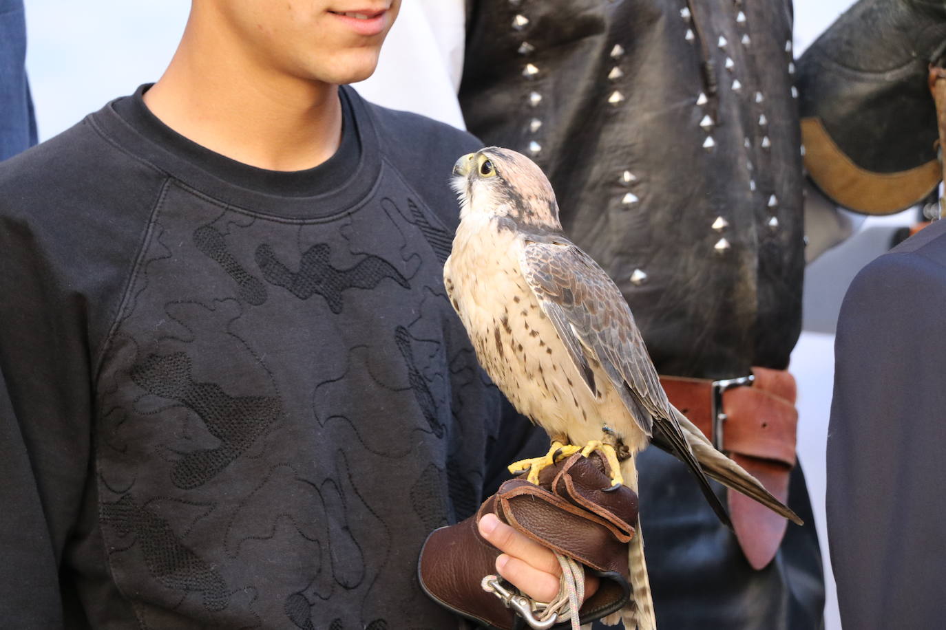 El presidente de la Diputación de León sujeta un ave rapaz.