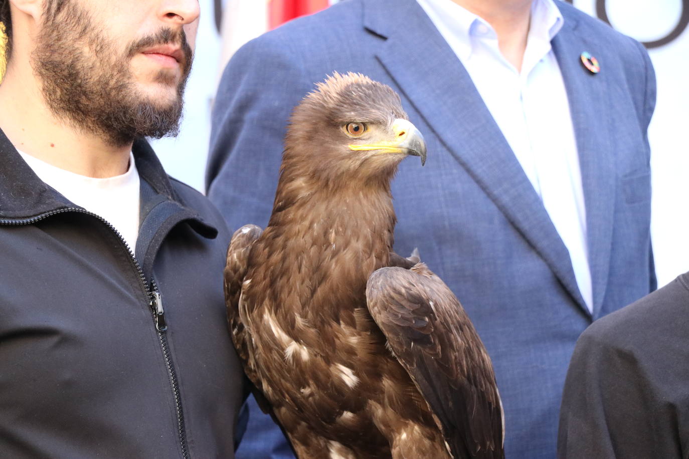 El presidente de la Diputación de León sujeta un ave rapaz.