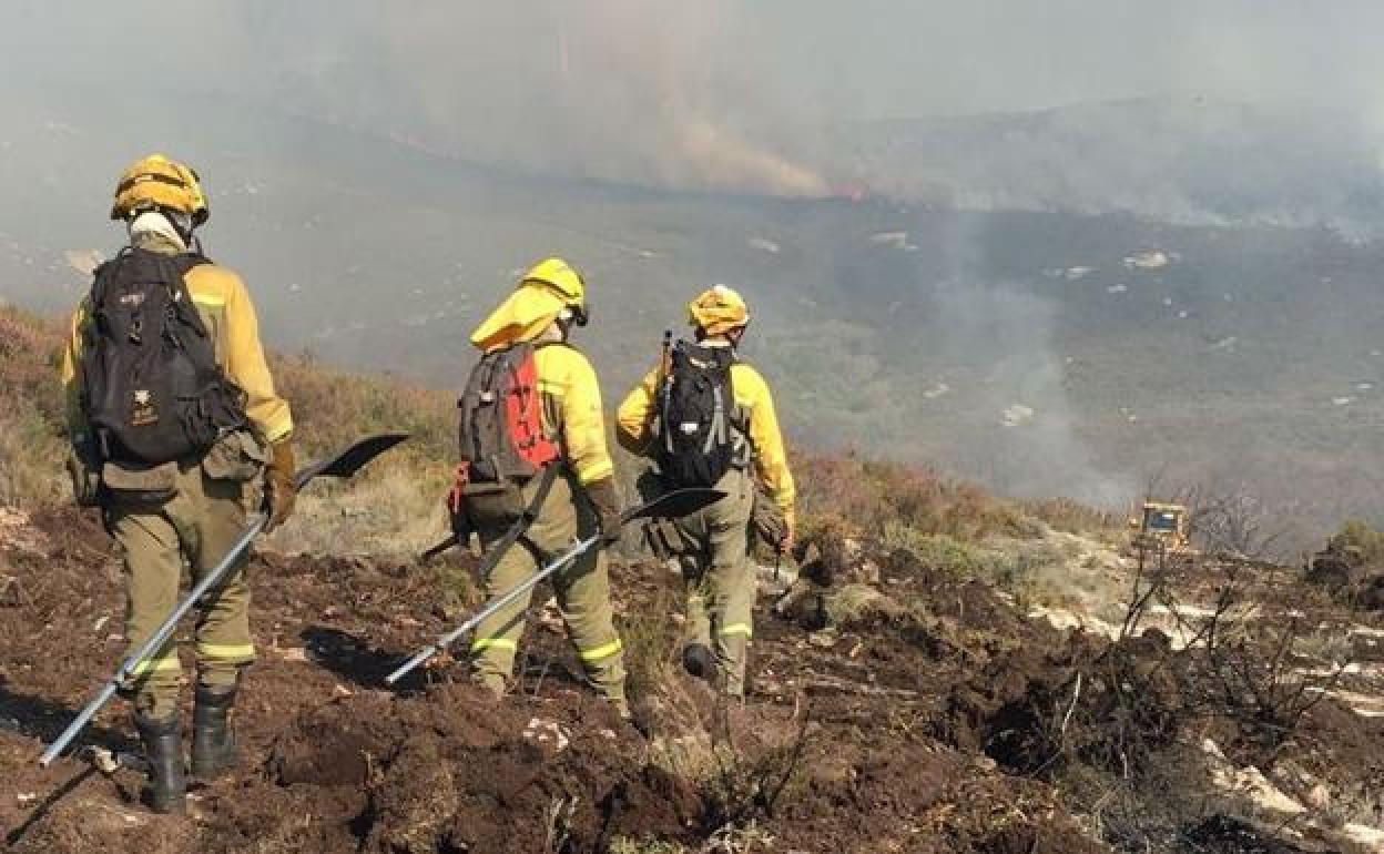 Un grupo de agentes forestales se dirige a un incendio.