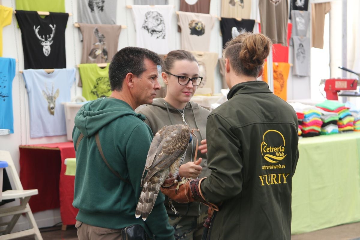 Fotos: La cetrería internacional se cita en La Virgen del Camino