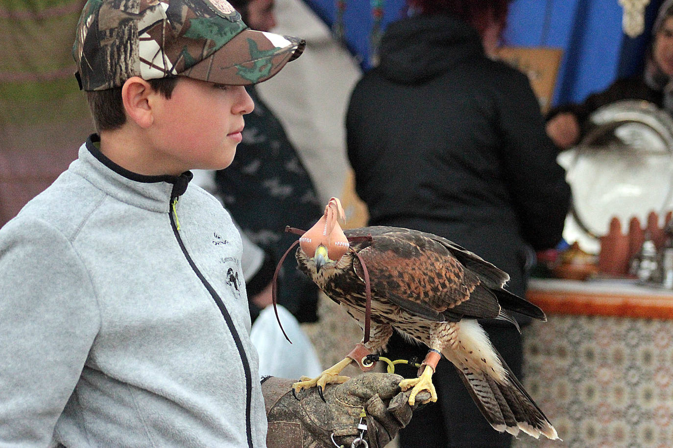 Fotos: Intensas finales en las XXV Jornadas Internacionales de Cetrería