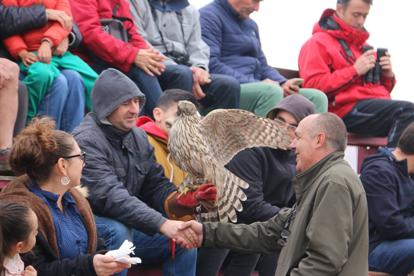 Fotos: Intensas finales en las XXV Jornadas Internacionales de Cetrería