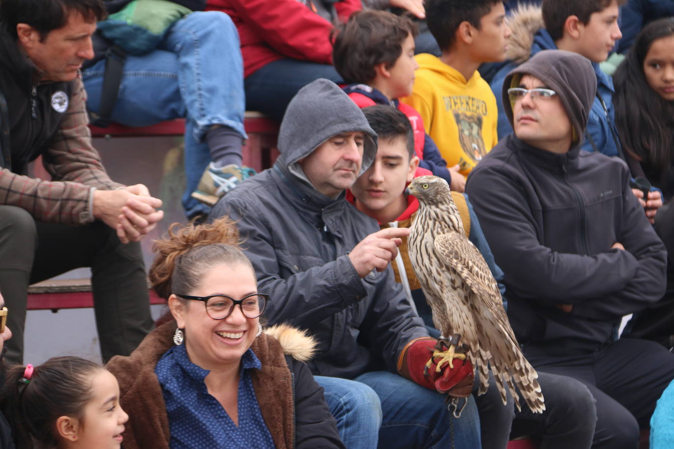 Fotos: Intensas finales en las XXV Jornadas Internacionales de Cetrería