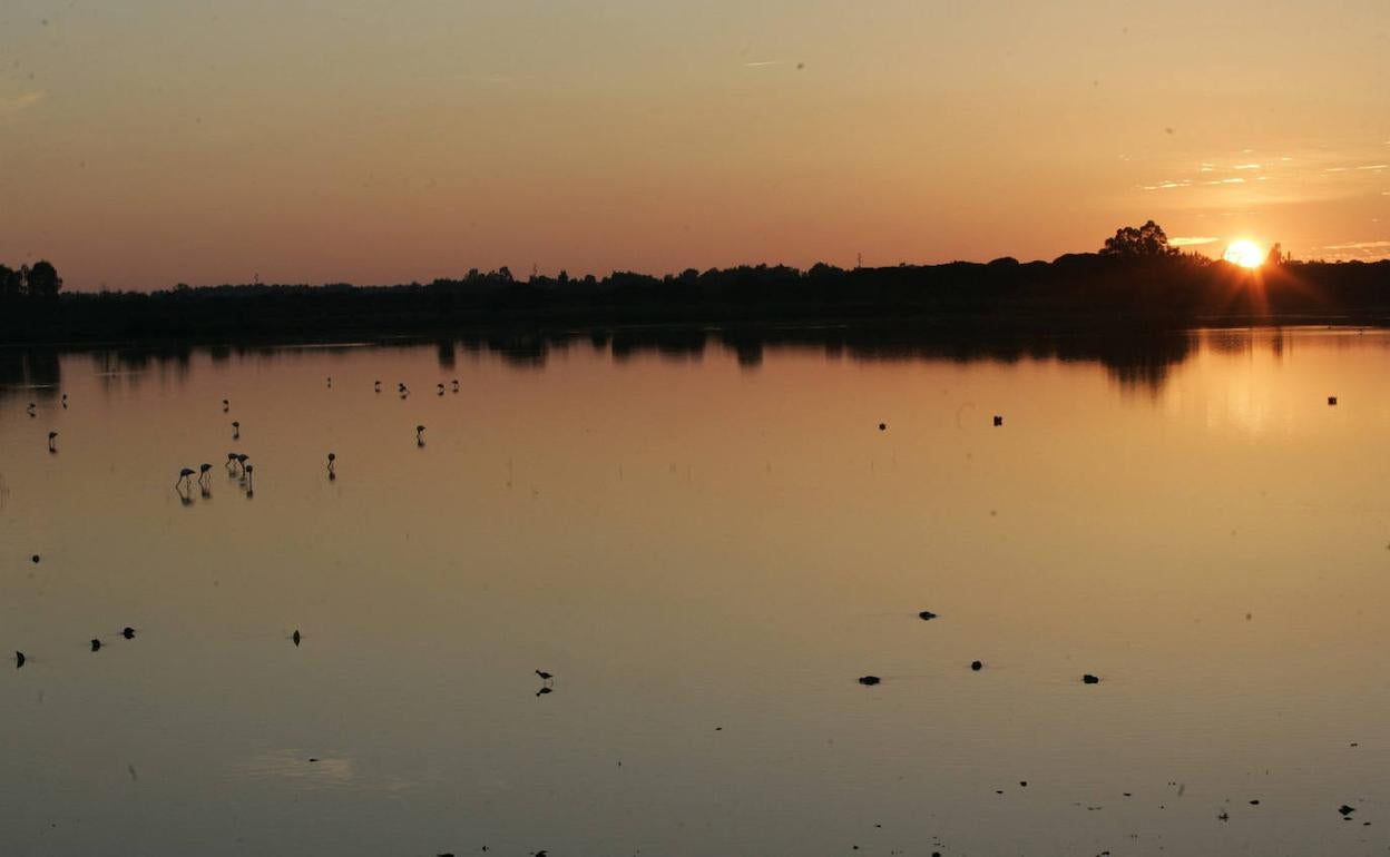 Parque Nacional de Doñana.