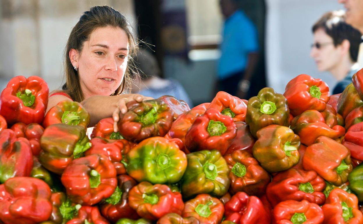 Pimiento de la marca de calidad zamorana Fresno-Benavente.