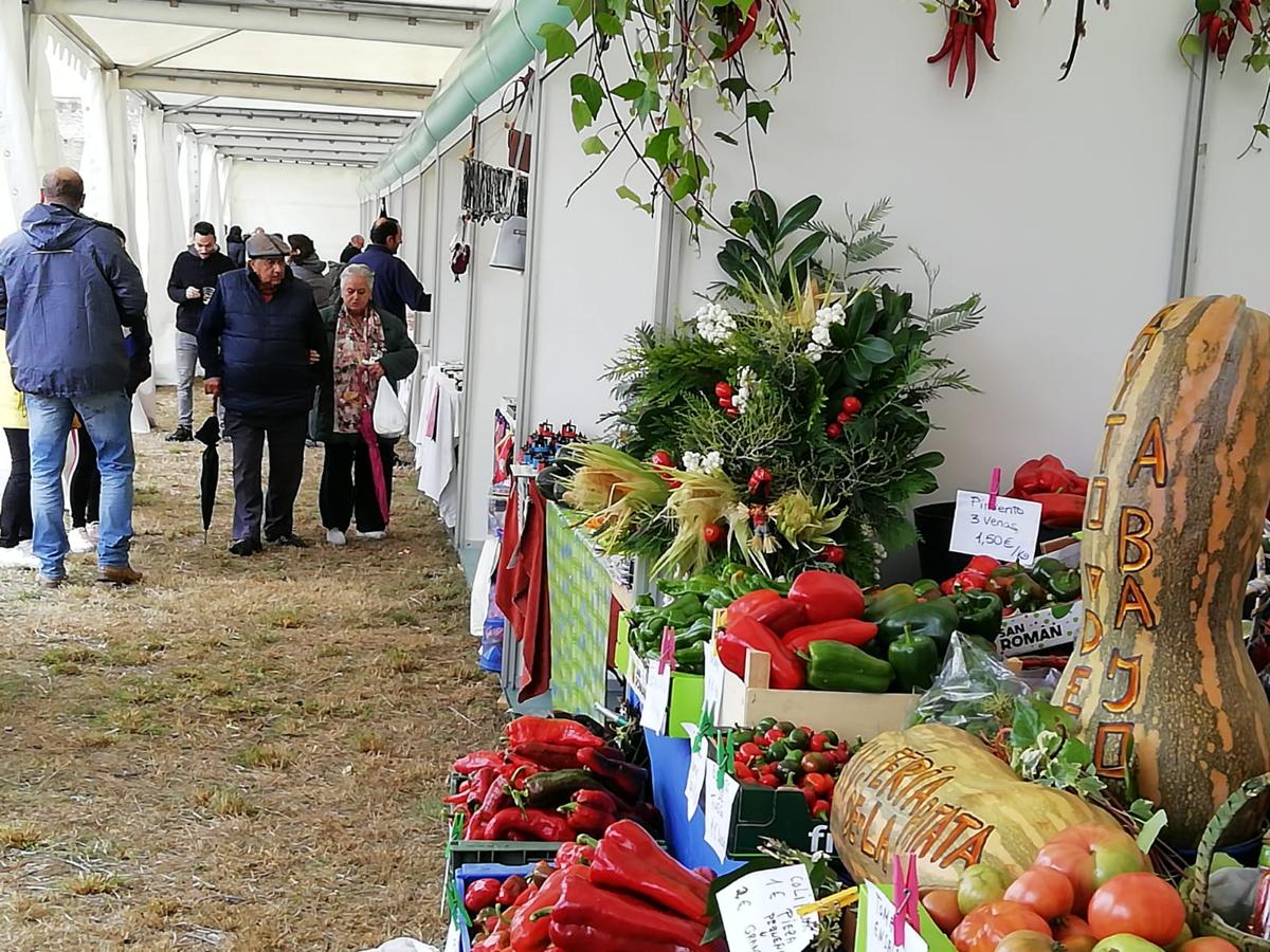 Fotos: Feria de la patata en Chozas de Abajo