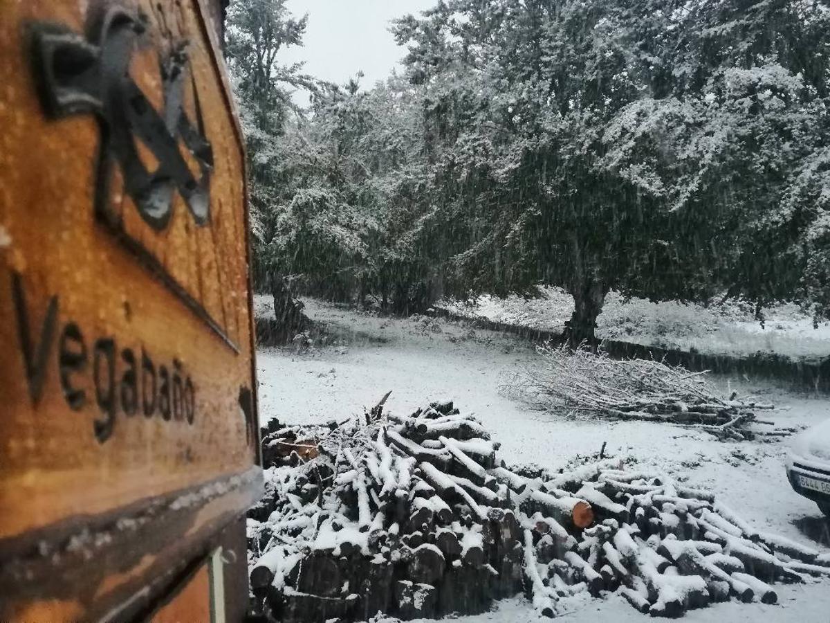 Fotos: Primeras nieves de otoño en León