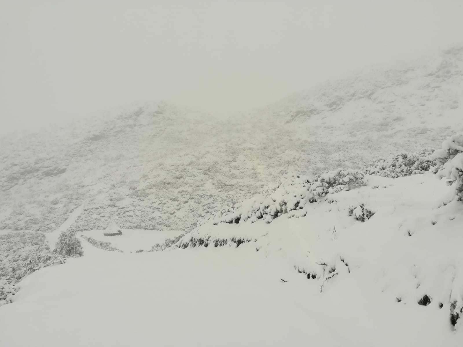 Fotos: Primeras nieves de otoño en León