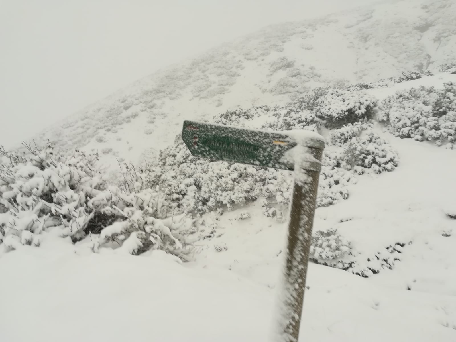 Fotos: Primeras nieves de otoño en León