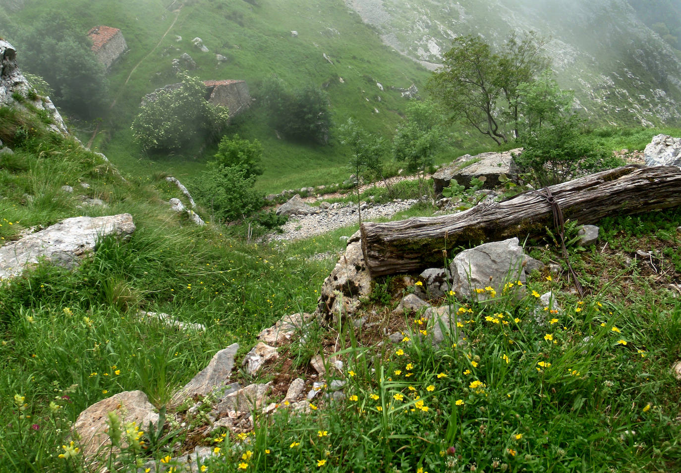 El ascenso a la localidad cántabra ofrece un paiseje espectacular con vistas a los Picos de Europa. Una ruta con una gran pendiente pero perfecta para disfrutar. No te la pierdas