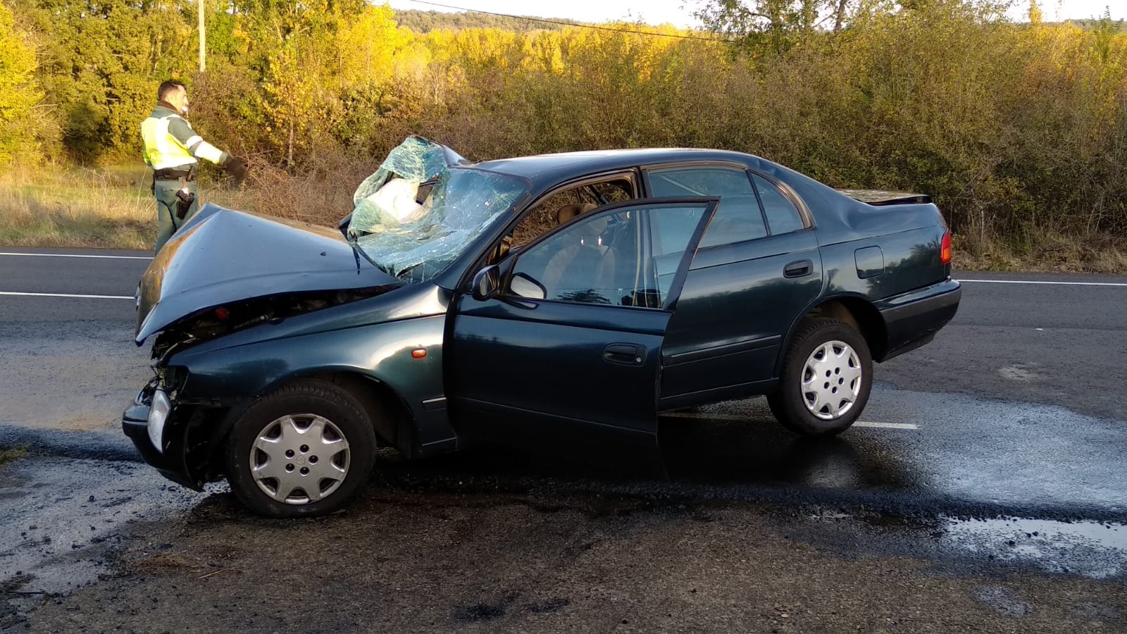 Dos personas han resultado heridas de gravedad tras una salida de vía del turismo en el que viajaban