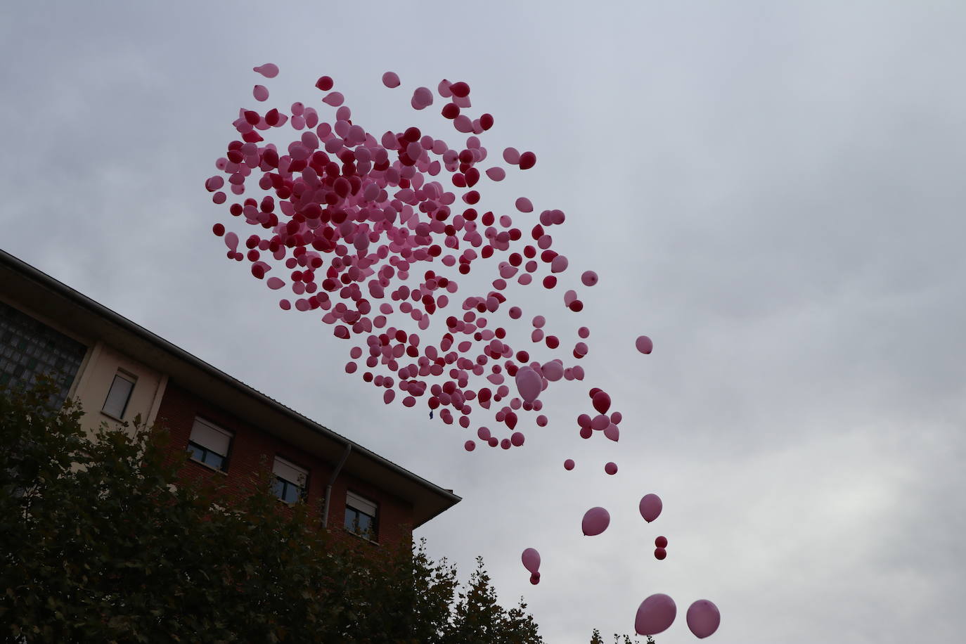 La ciudad de León acoge una nueva carrera de la lucha contra el cáncer de mama.