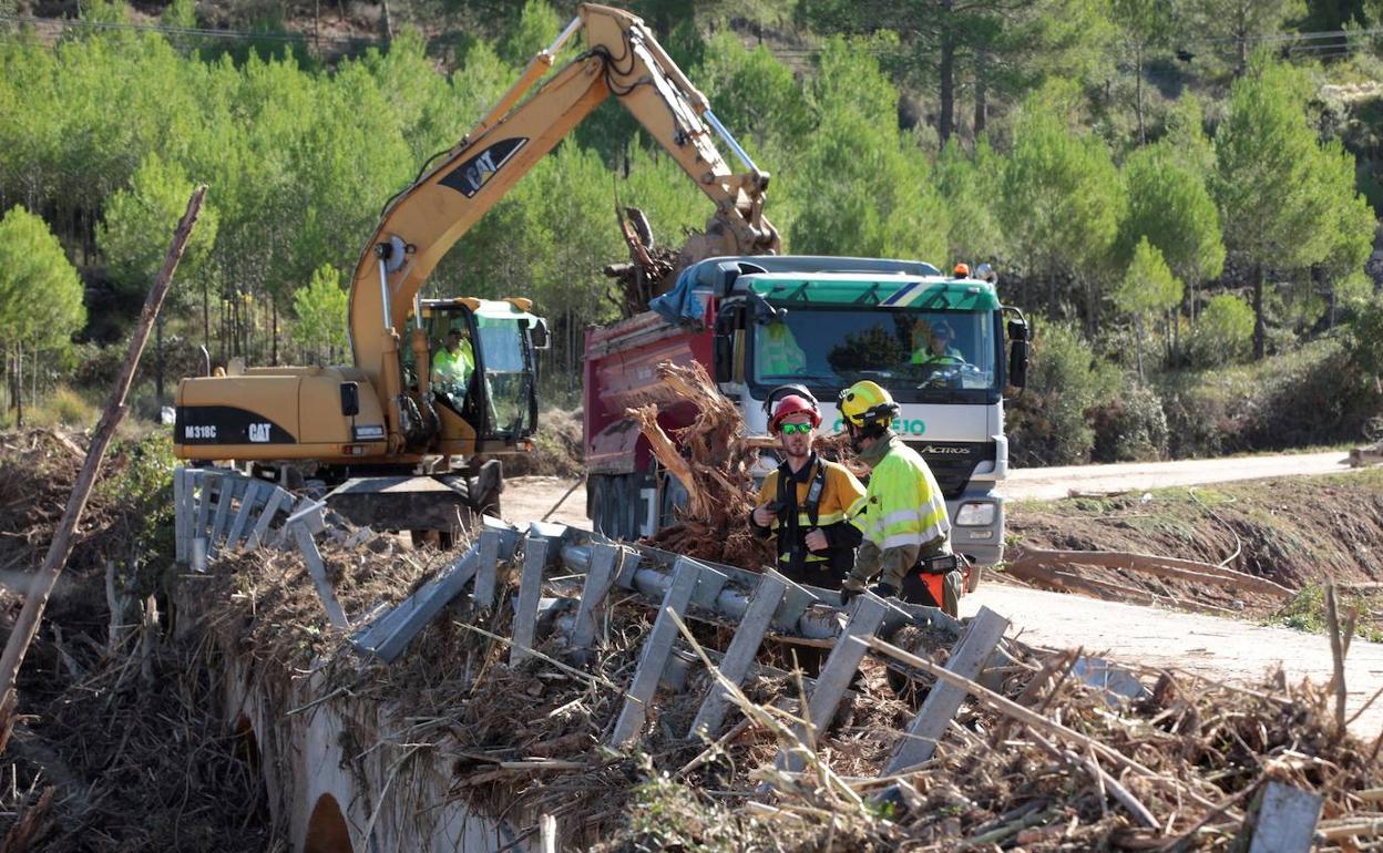 Una de las tareas de búsqueda en el rio Francolí a su paso por Vilaverd (Tarragona). 