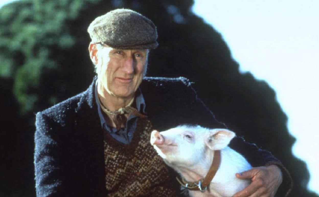 James Cromwell, en una escena de la película 'Babe, el cerdito valiente'.