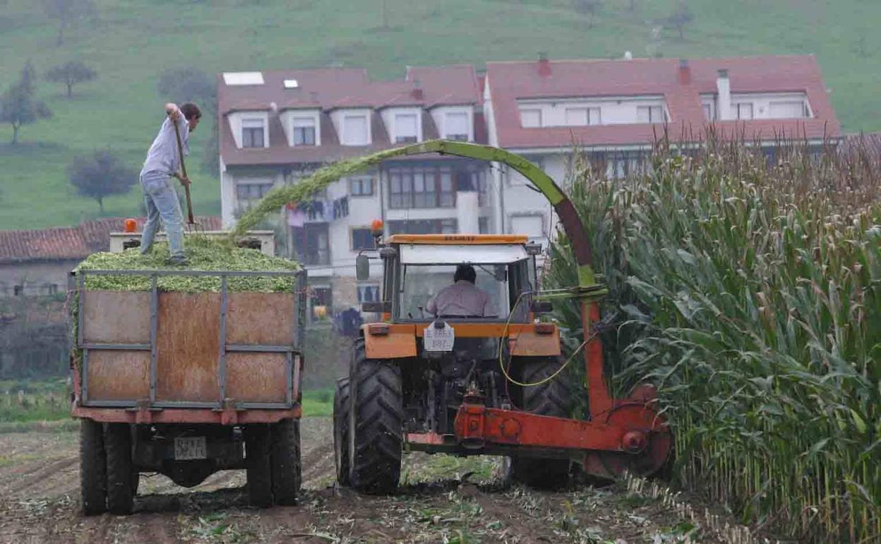 Dos agricultores trabajando en un campo. 