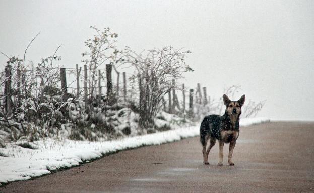 La nieve este jueves en León.