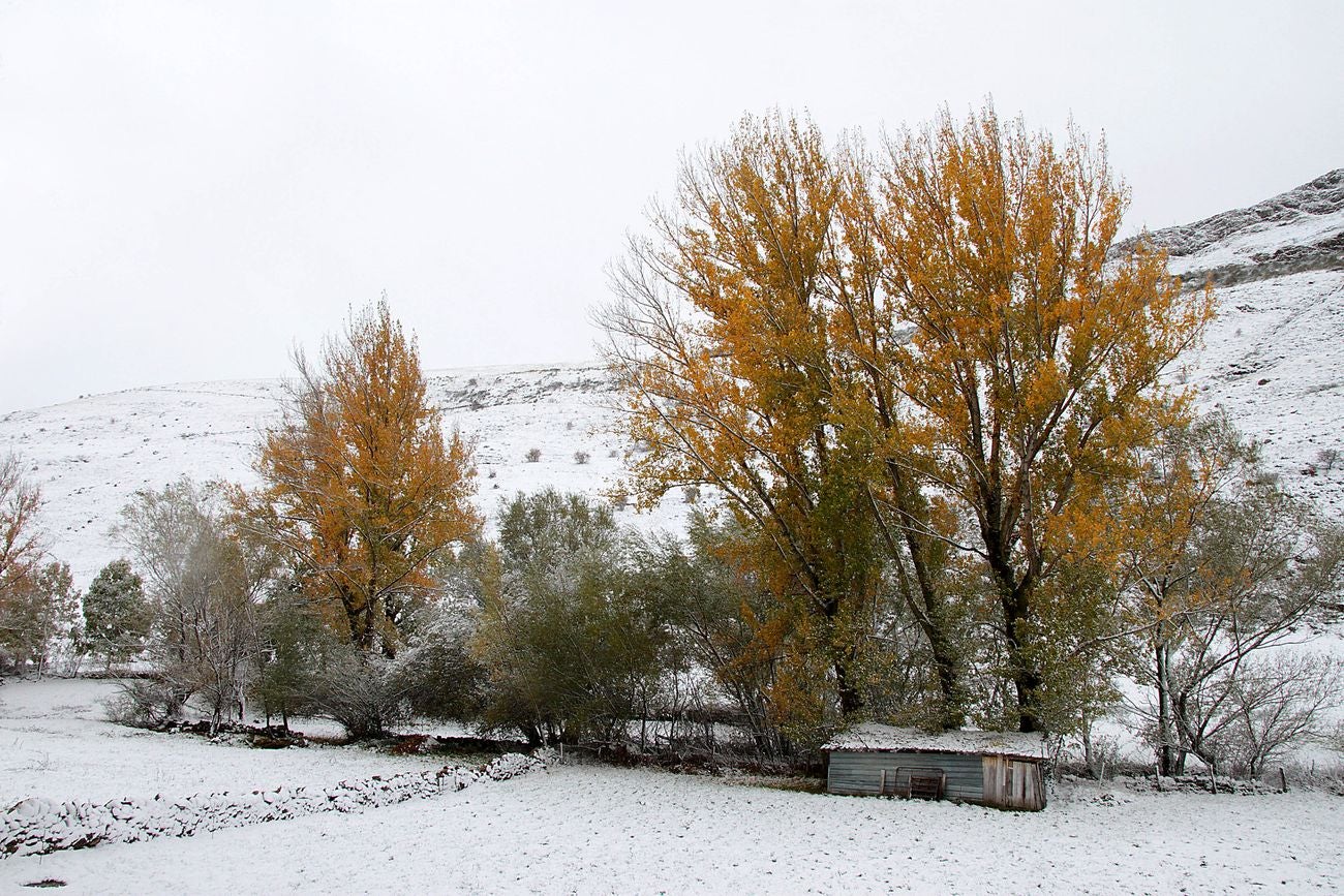 Las primeras nevadas cubren los valles de Babia y Laciana en León