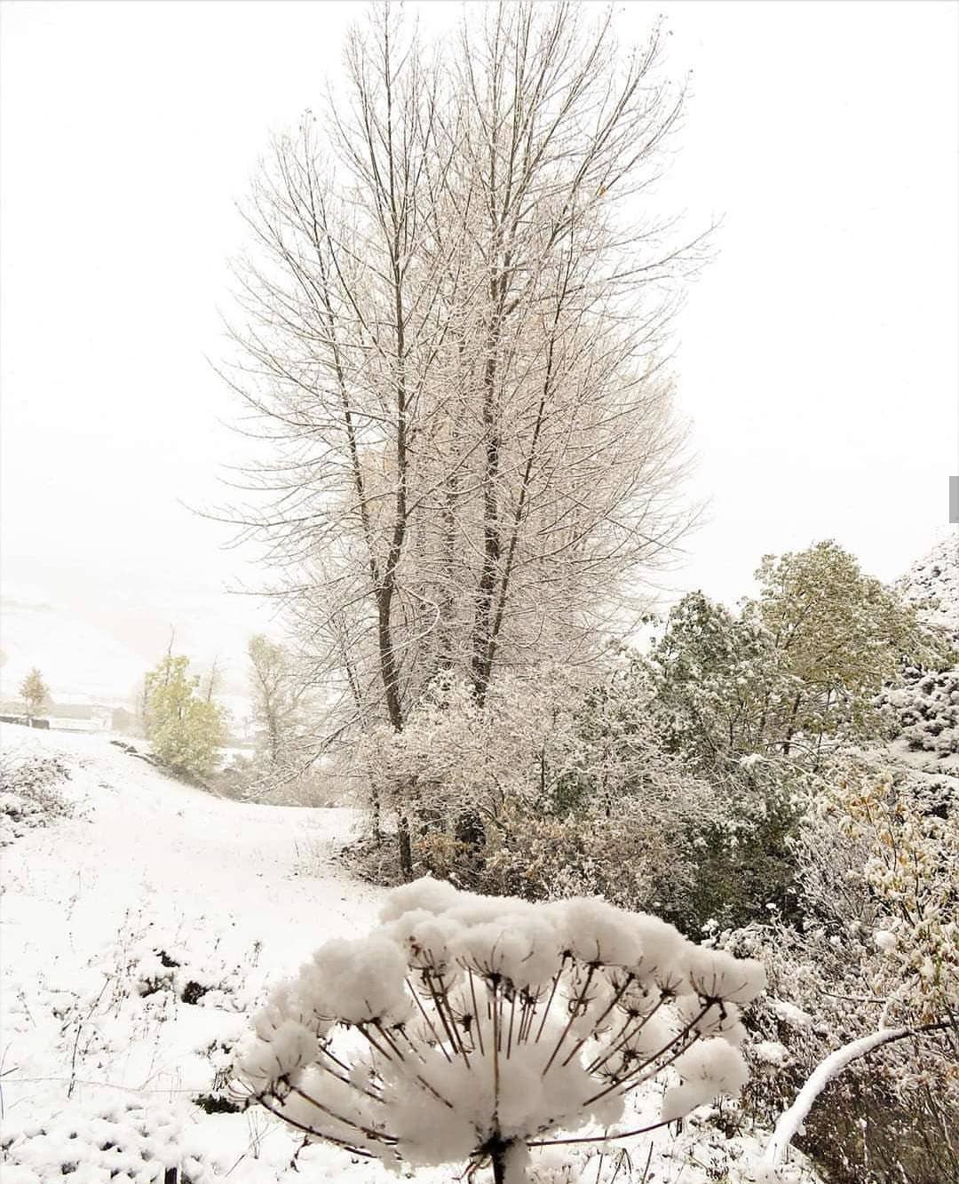 Fotos: La nieve tiñe de blanco a la provincia leonesa
