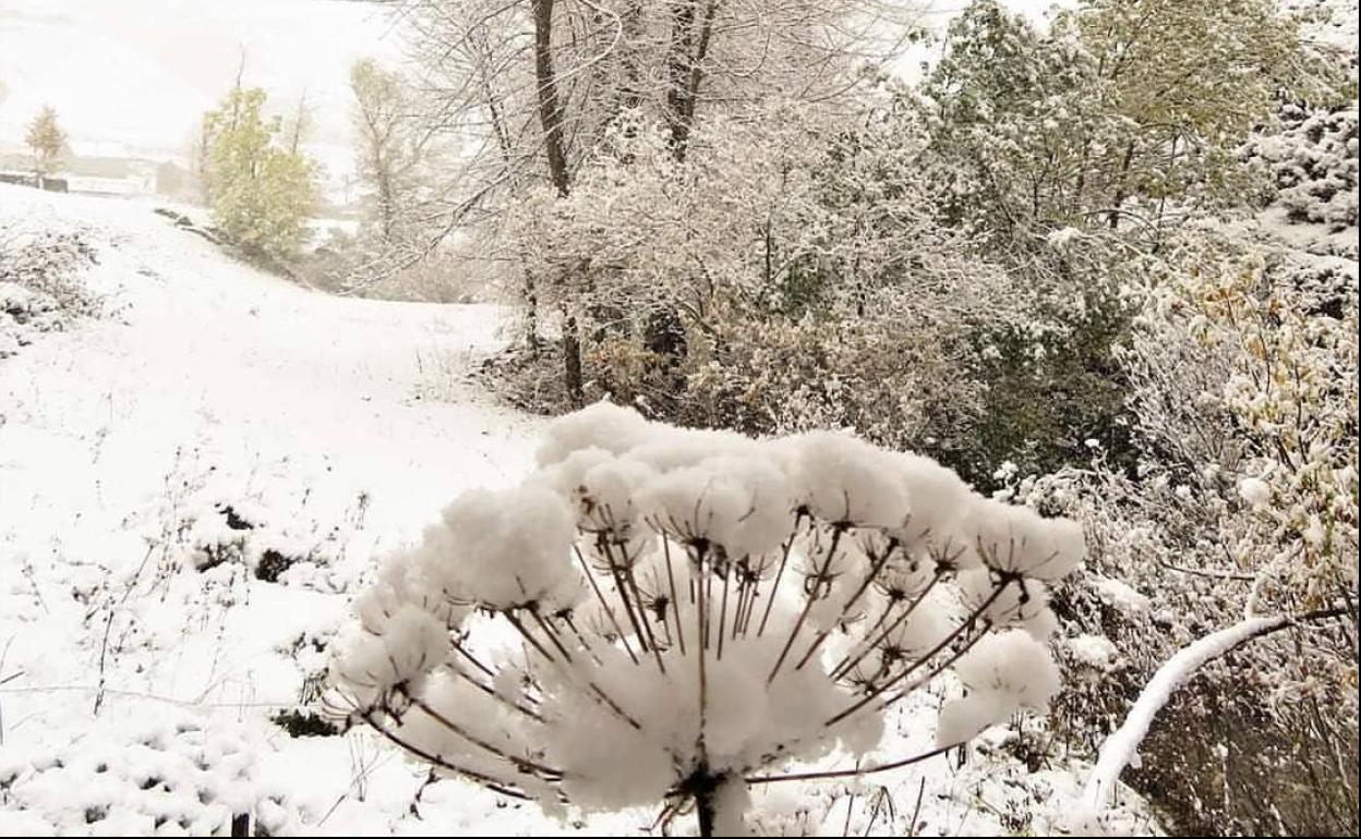 Nieve en Torrestío. 