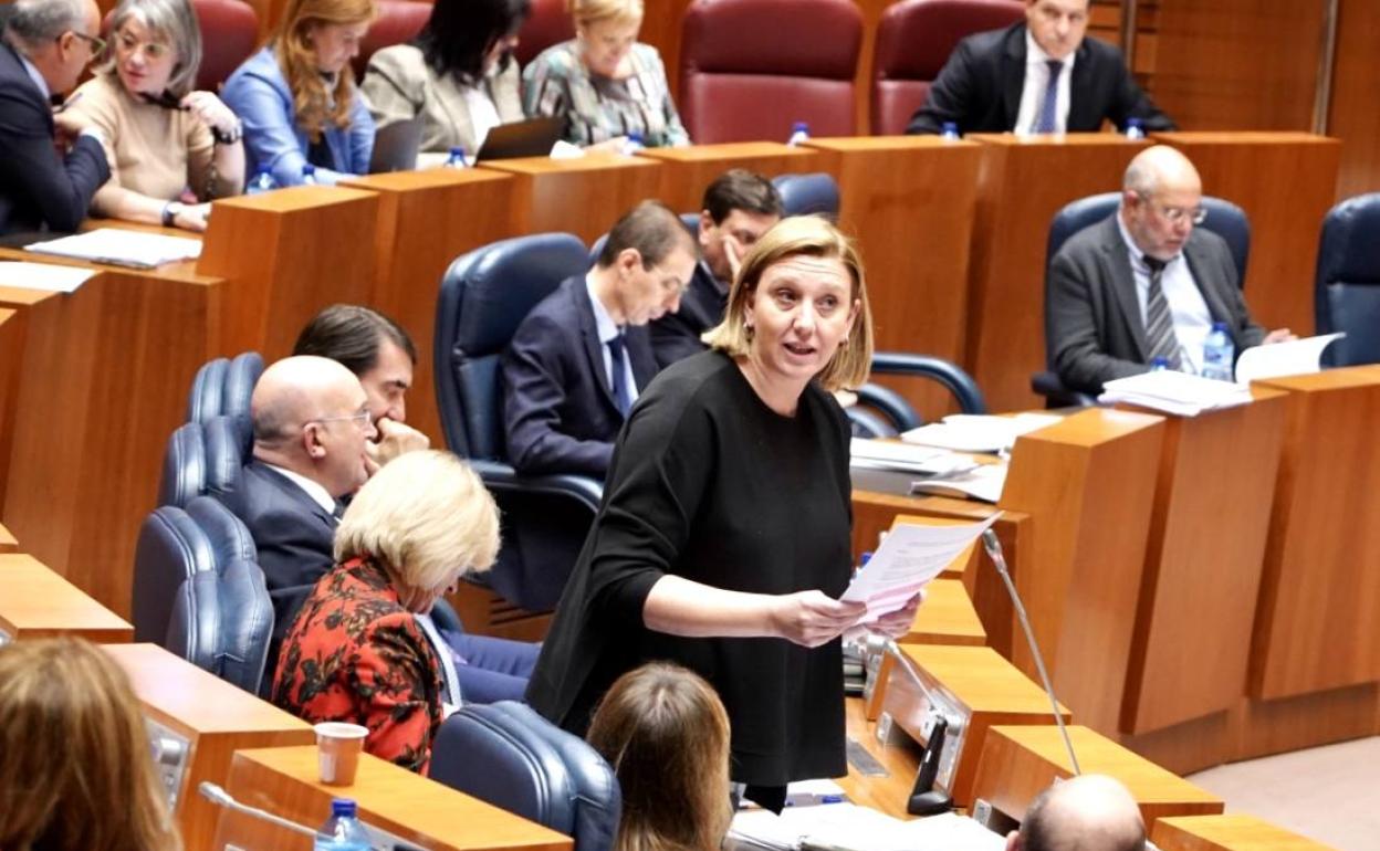 La consejera de Familia e Igualdad de Oportunidades, Isabel Blanco, interviene en el Pleno de las Cortes. 