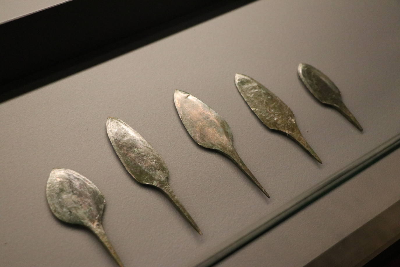 Fotos: Un paseo por la historia