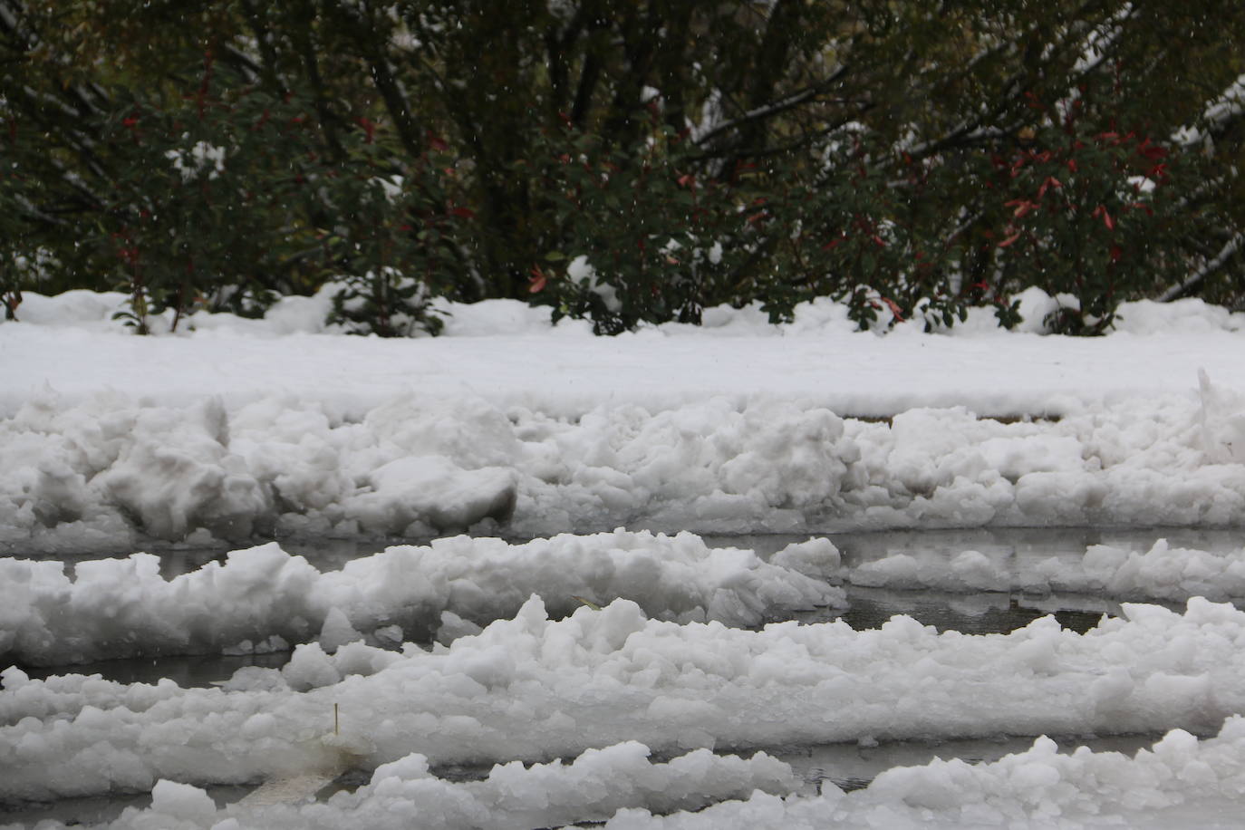 Fotos: León vuelve a convivir con la nieve