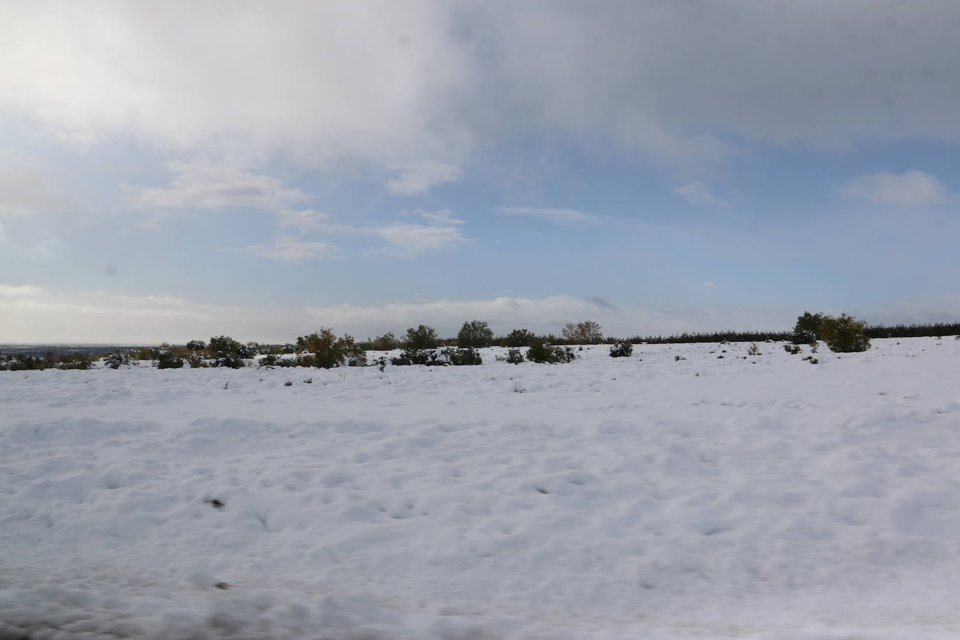 Fotos: León vuelve a convivir con la nieve