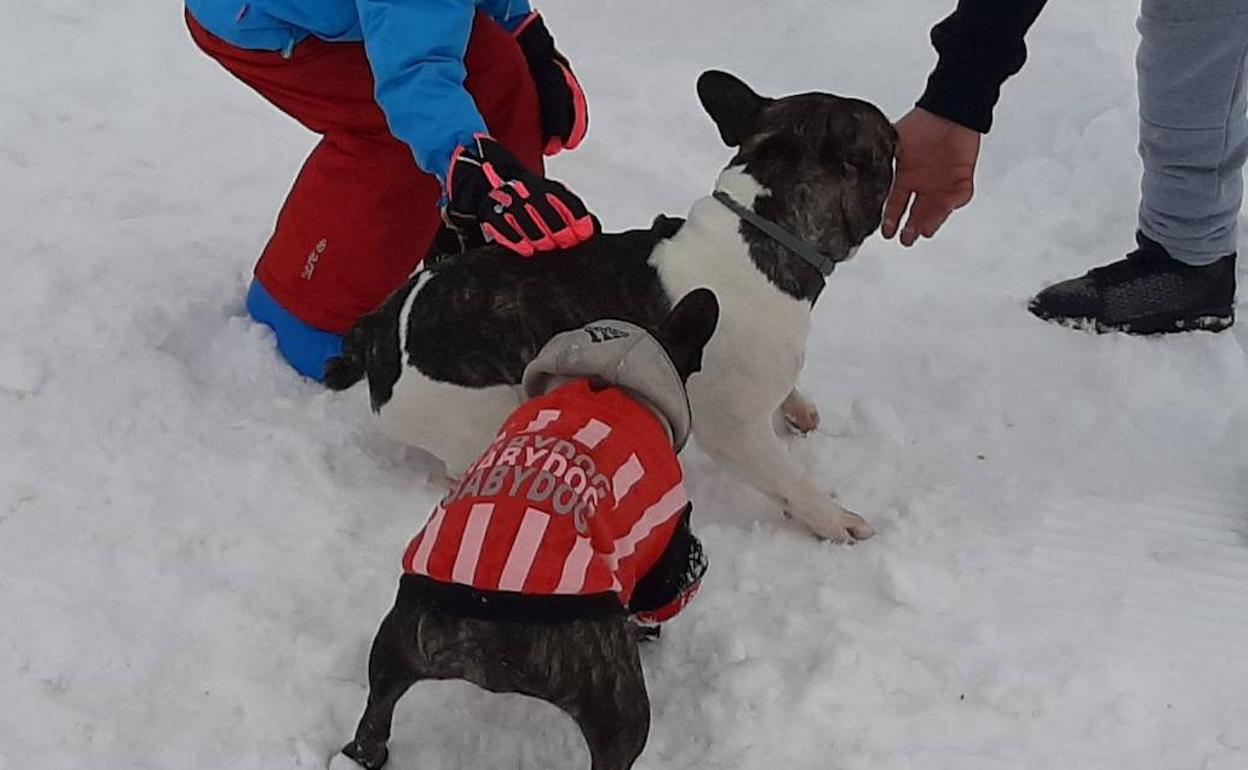 La nieve es cosa de todos