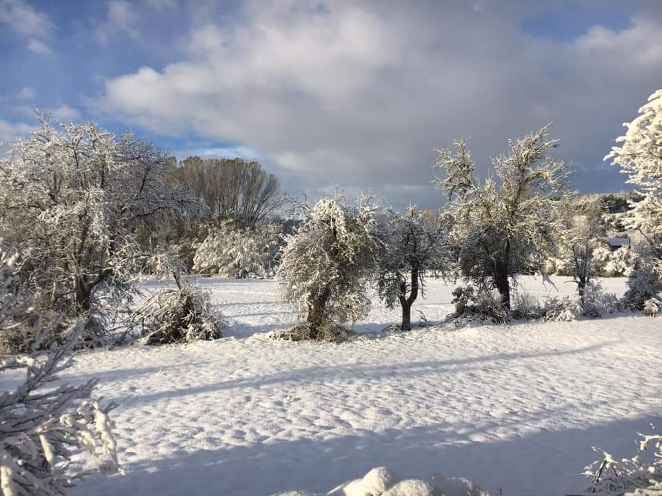 Fotos: Un paisaje de cuento